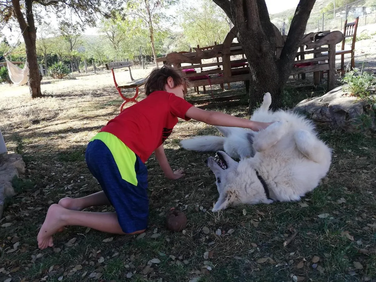 Mas Del Llop Blanc - Dog Friendly Hostal Rural - B&B Sobrestany