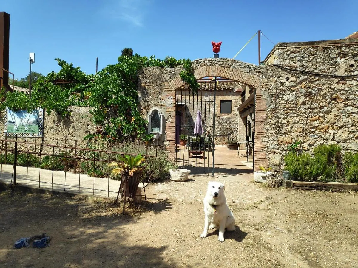 *** Bed & Breakfast Mas Del Llop Blanc - Dog Friendly Hostal Rural - B&B Sobrestany Spain
