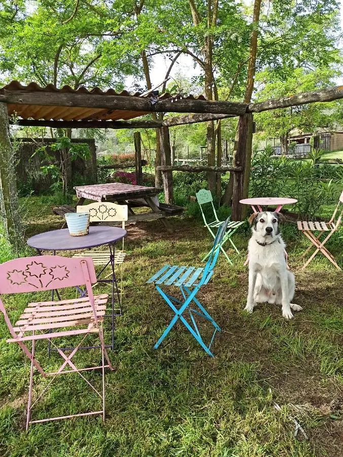 Mas Del Llop Blanc - Dog Friendly Hostal Rural - B&B Sobrestany