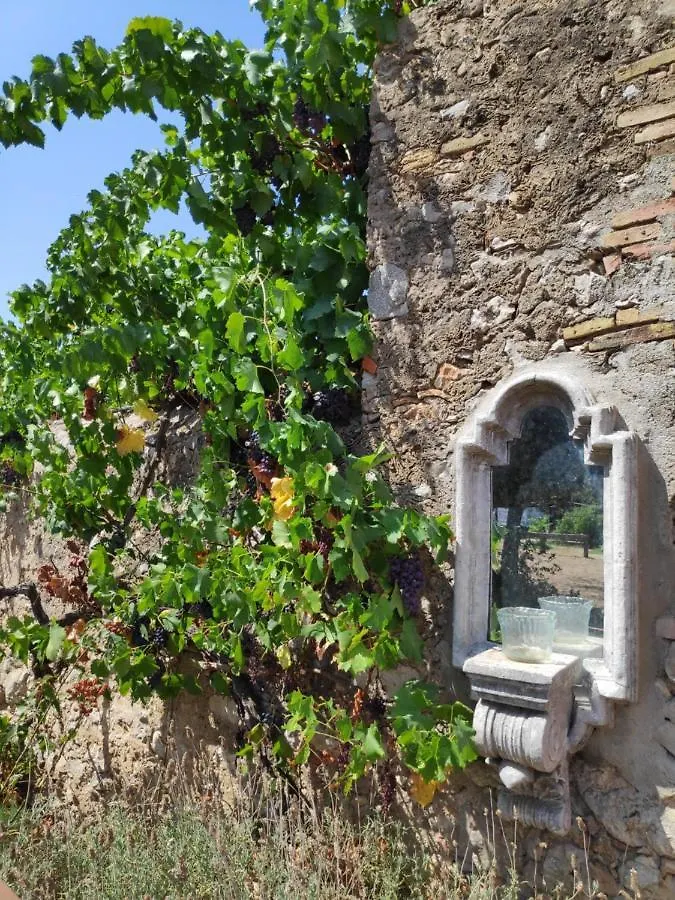 Mas Del Llop Blanc - Dog Friendly Hostal Rural - B&B Sobrestany Spain