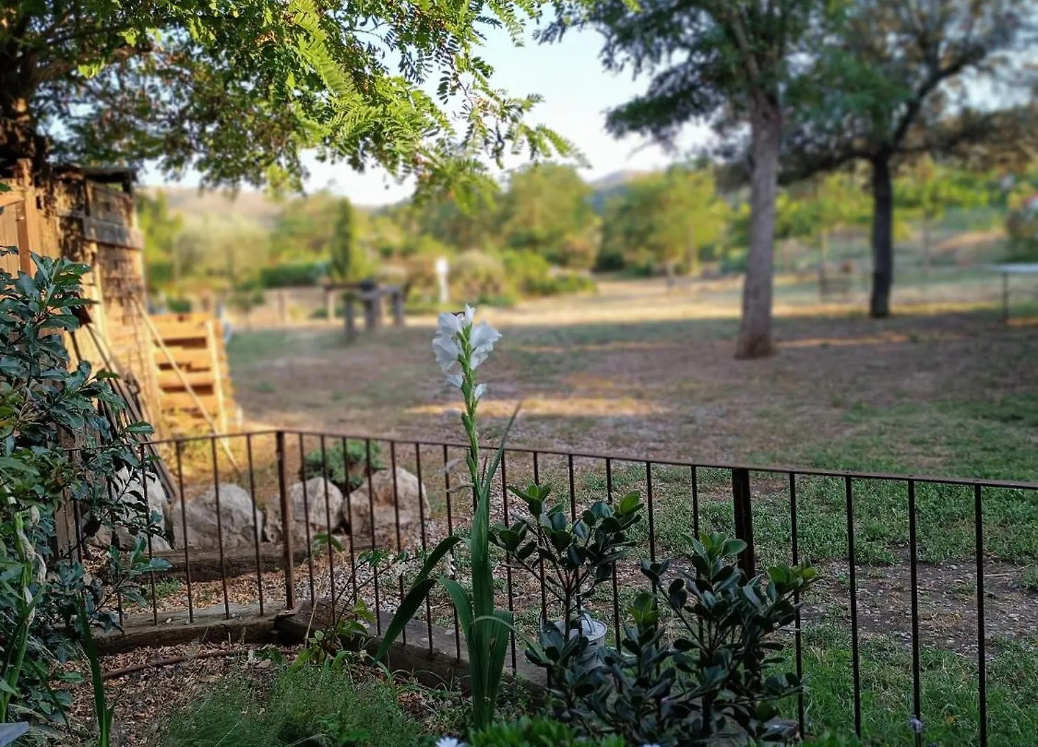 Mas Del Llop Blanc - Dog Friendly Hostal Rural - B&B Sobrestany Bed & Breakfast